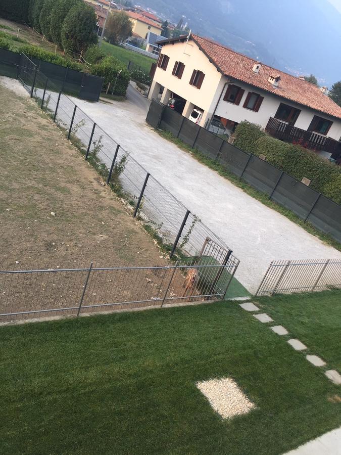 艺术设计住宿加早餐旅馆 科斯塔沃尔皮诺 外观 照片